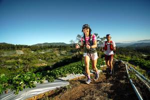 BIB: 
                            <button type="button" onclick="openModal(19116618)" class="btn btn-primary btn-sm float-right btn-popup" data-toggle="modal" data-target=".modal-high-quality">
                        <i class="fas fa-shopping-cart"></i> Add to Cart
                    </button>
                                            <button type="button" onclick="isThisMe(19116618, true)" class="btn btn-success btn-sm float-right btn-popup btn-isme hidden" data-toggle="tooltip" data-placement="bottom" title="นี่คือรูปของคุณใช่ไหม คลิกที่นี่เพื่อเอาเข้าอัลบั้ม">
                        <i class="fas fa-plus"></i> Add to album
                    </button>
                    <button type="button" onclick="isThisMe(19116618, false)" class="btn btn-warning btn-sm float-right btn-popup btn-isnotme hidden">
                        <i class="fas fa-ban"></i> Remove from album
                    </button>